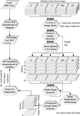 Detection of Gray Mold Leaf Infections Prior to Visual Symptom Appearance Using a Five-Band Multispectral Sensor